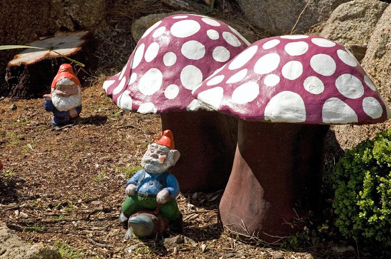 fairypark_123.jpg