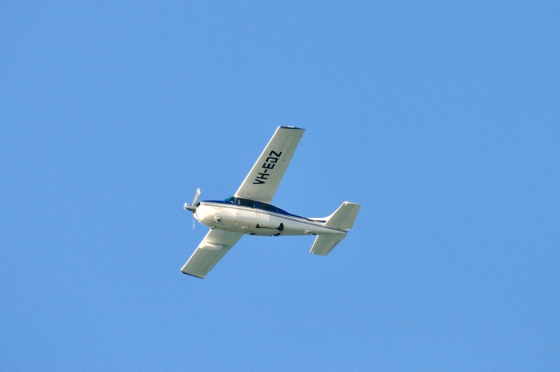 _DSC8294.jpg