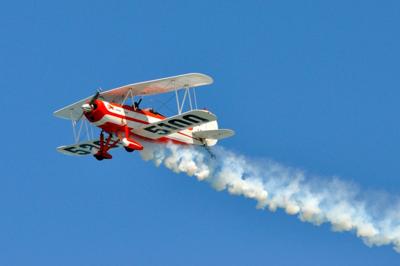 _DSC8313.jpg