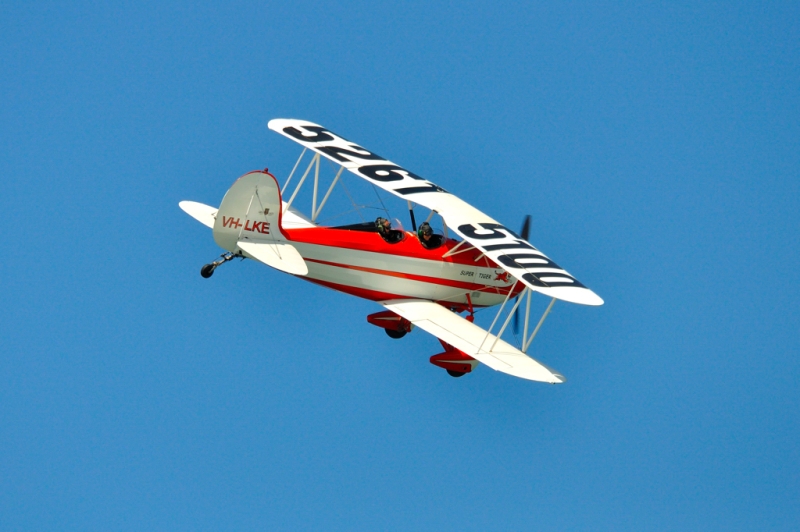 _DSC8319.jpg