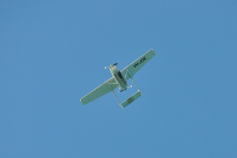 _DSC8328.jpg