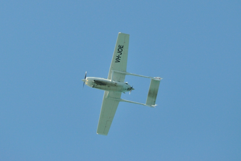 _DSC8330.jpg