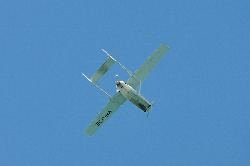 _DSC8351.jpg