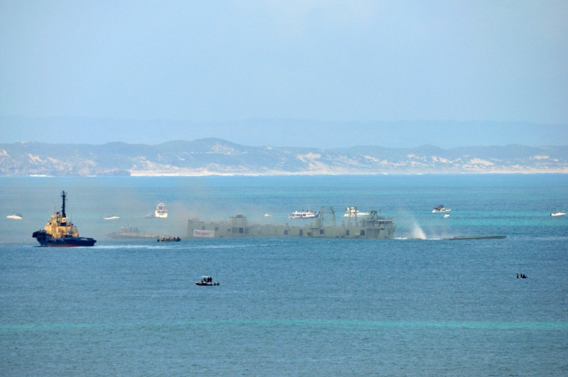 _DSC8365.jpg