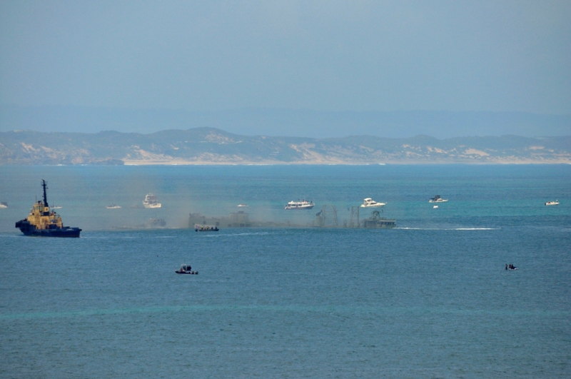 _DSC8370.jpg