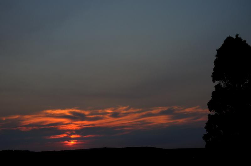DSC_2102.jpg