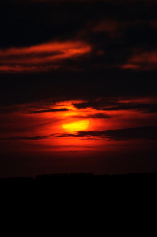 DSC_2106.jpg