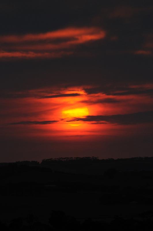 DSC_2109.jpg