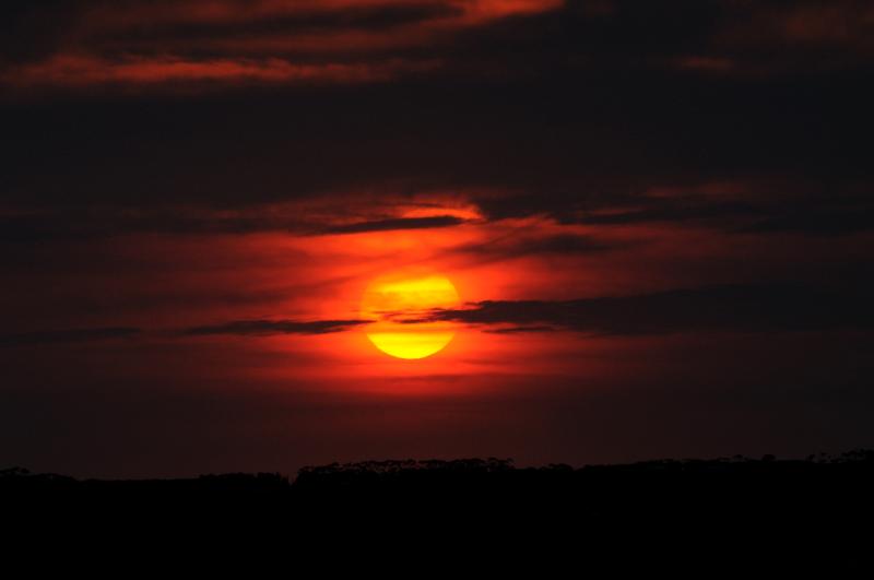 DSC_2111.jpg