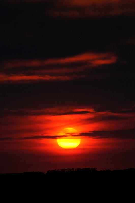 DSC_2115.jpg