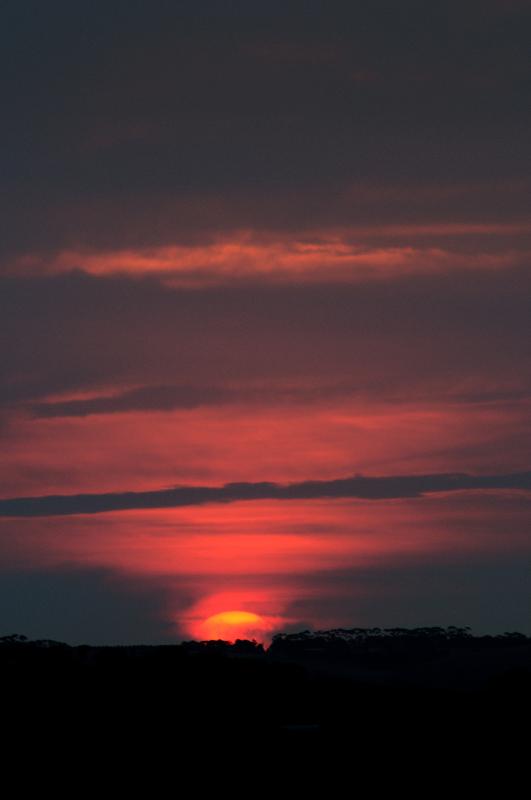 DSC_2143.jpg