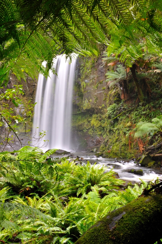 _DSC7062.jpg