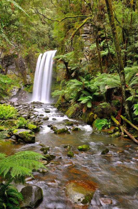 _DSC7127.jpg