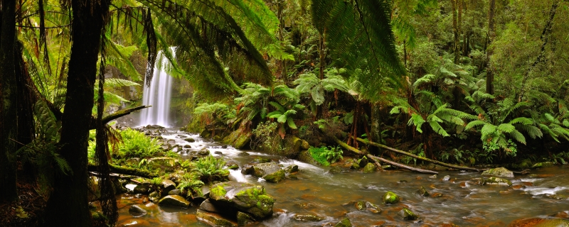 hopetoun4.jpg