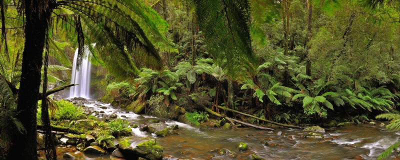 hopetoun5.jpg
