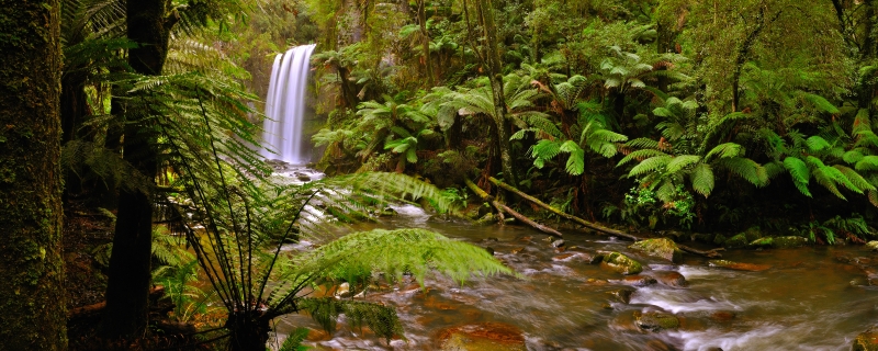 hopetoun7.jpg