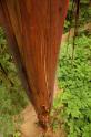 DSC_1948
