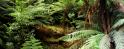 trees2