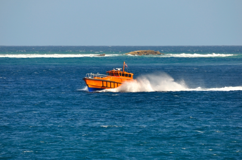 _DSC7693.jpg