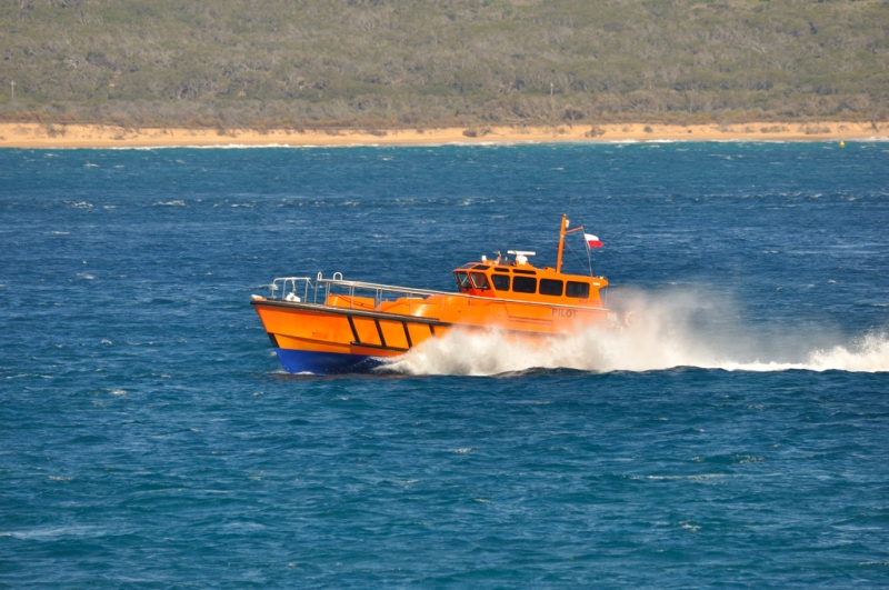 _DSC7697.jpg