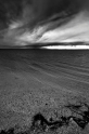 _DSC7981