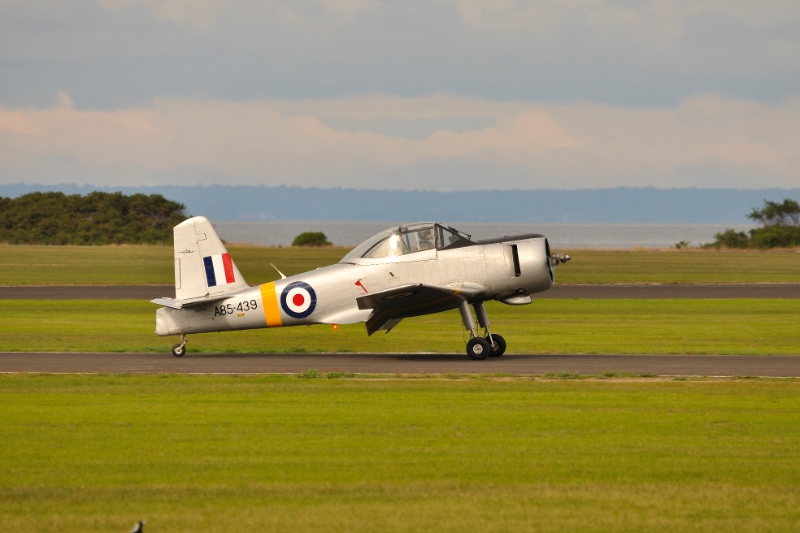 _DSC4541.jpg