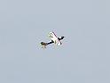 rcplanes_1
