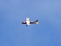 rcplanes_19
