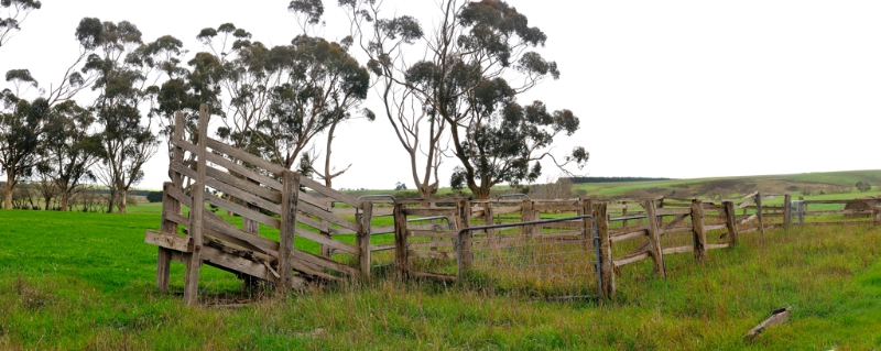 Otways3.jpg