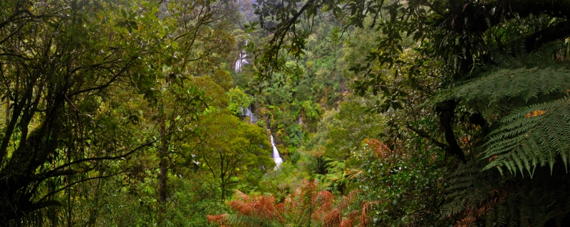 Otways7.jpg