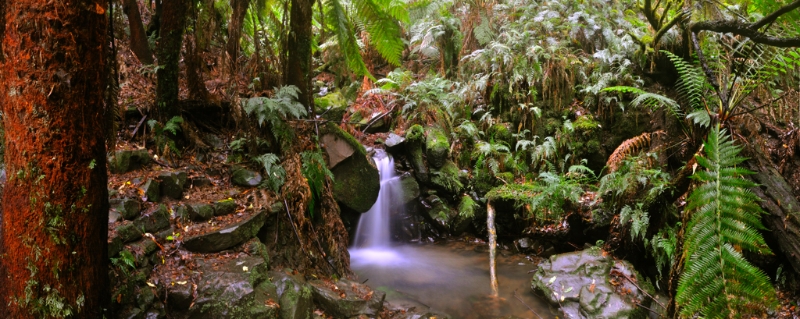 Otways9.jpg