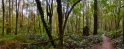 Otways10