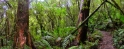 Otways12