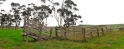 Otways3
