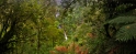 Otways7
