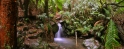 Otways9