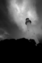 _DSC8905