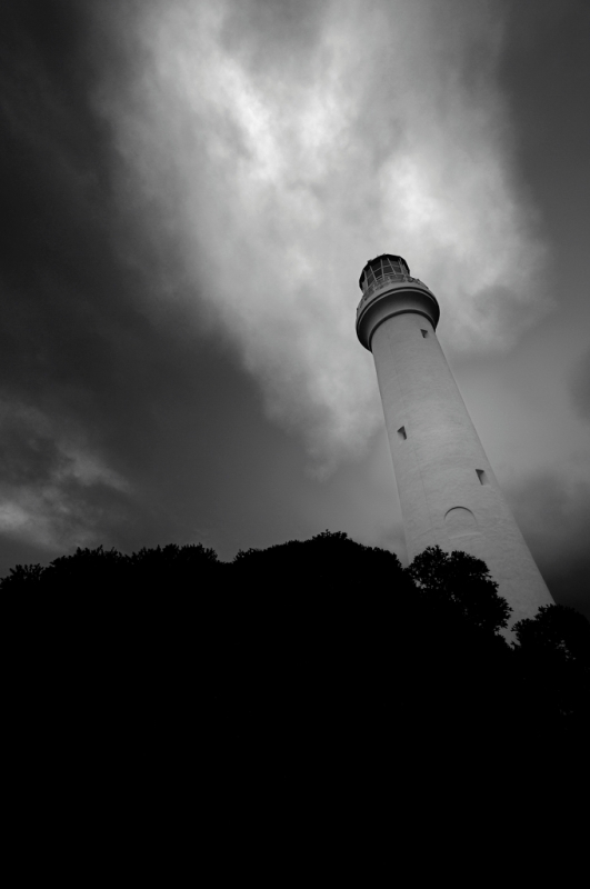_DSC8905.jpg