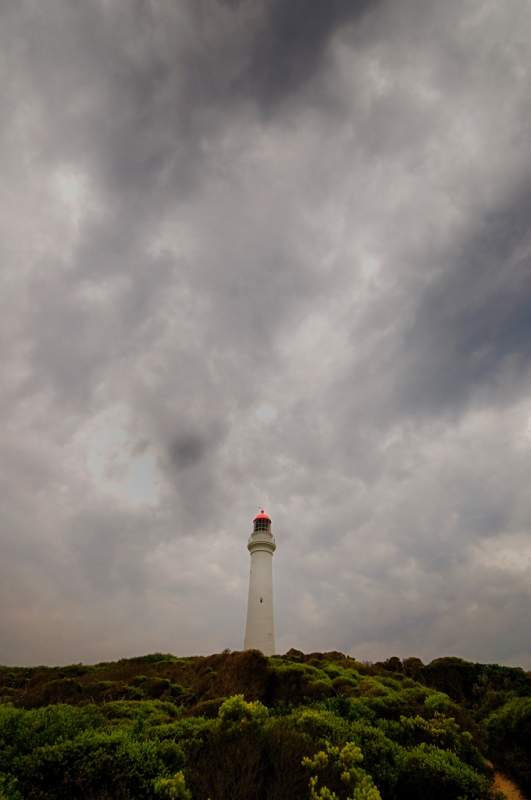 _DSC8916.jpg