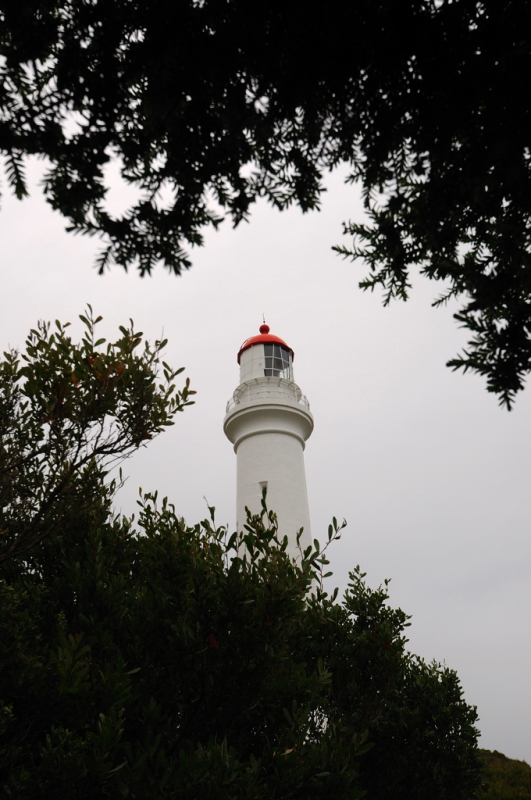 _DSC8927.jpg