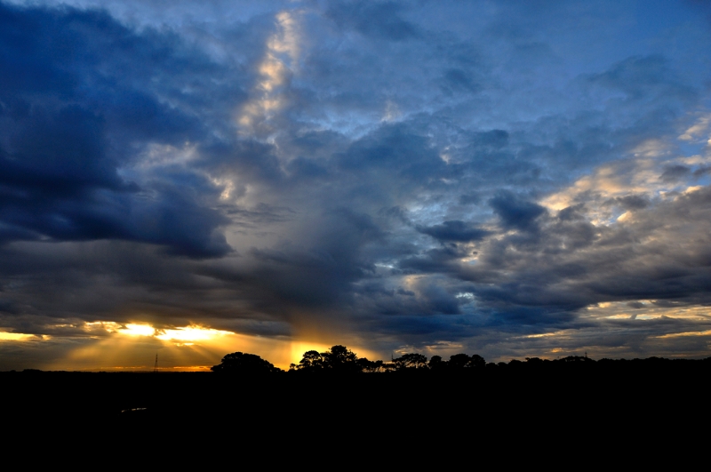 _DSC4666.jpg
