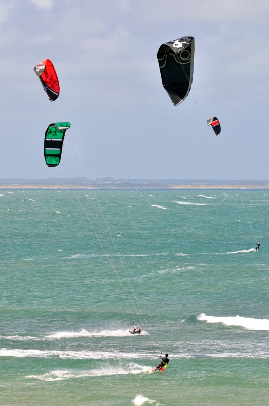 _DSC8652.jpg