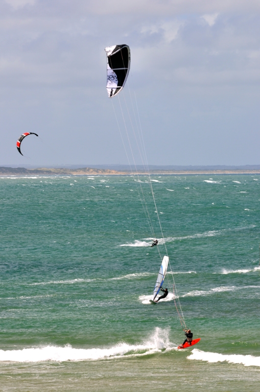 _DSC8658.jpg