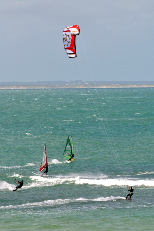 _DSC8663.jpg