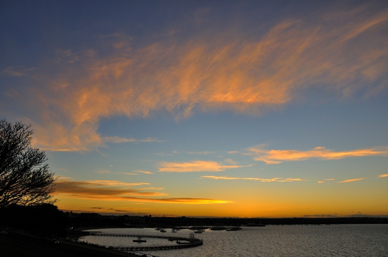 _DSC7009.jpg