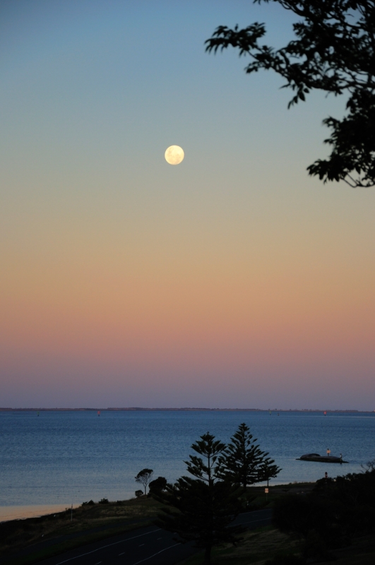 _DSC8957.jpg