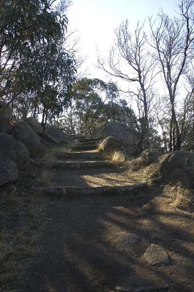 youyangs_12.JPG