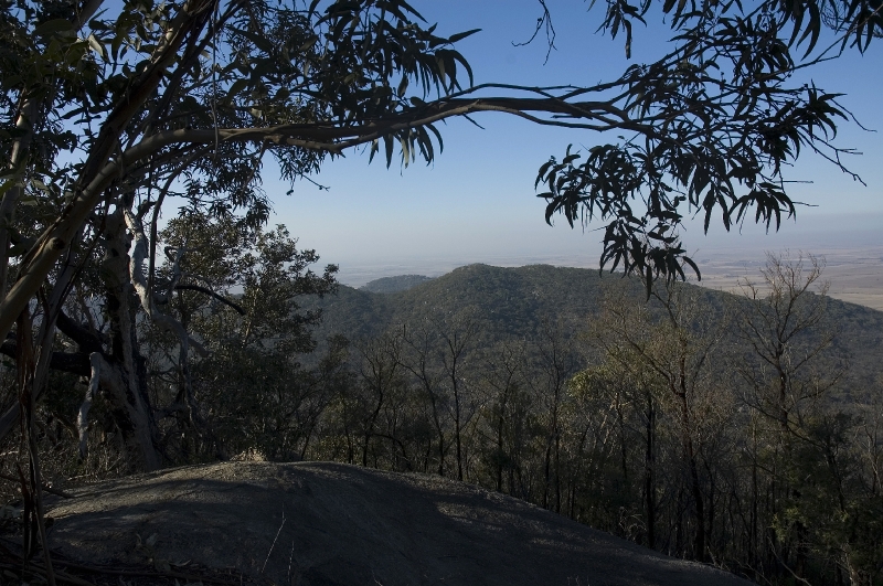 youyangs_13.JPG