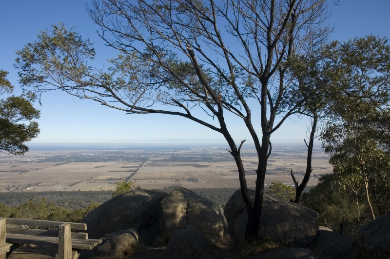 youyangs_63.JPG