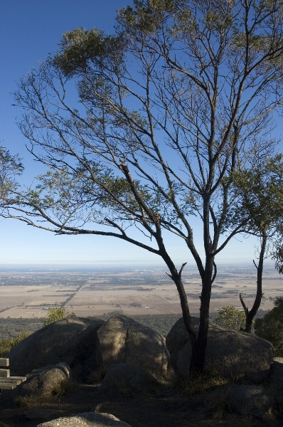 youyangs_64.JPG